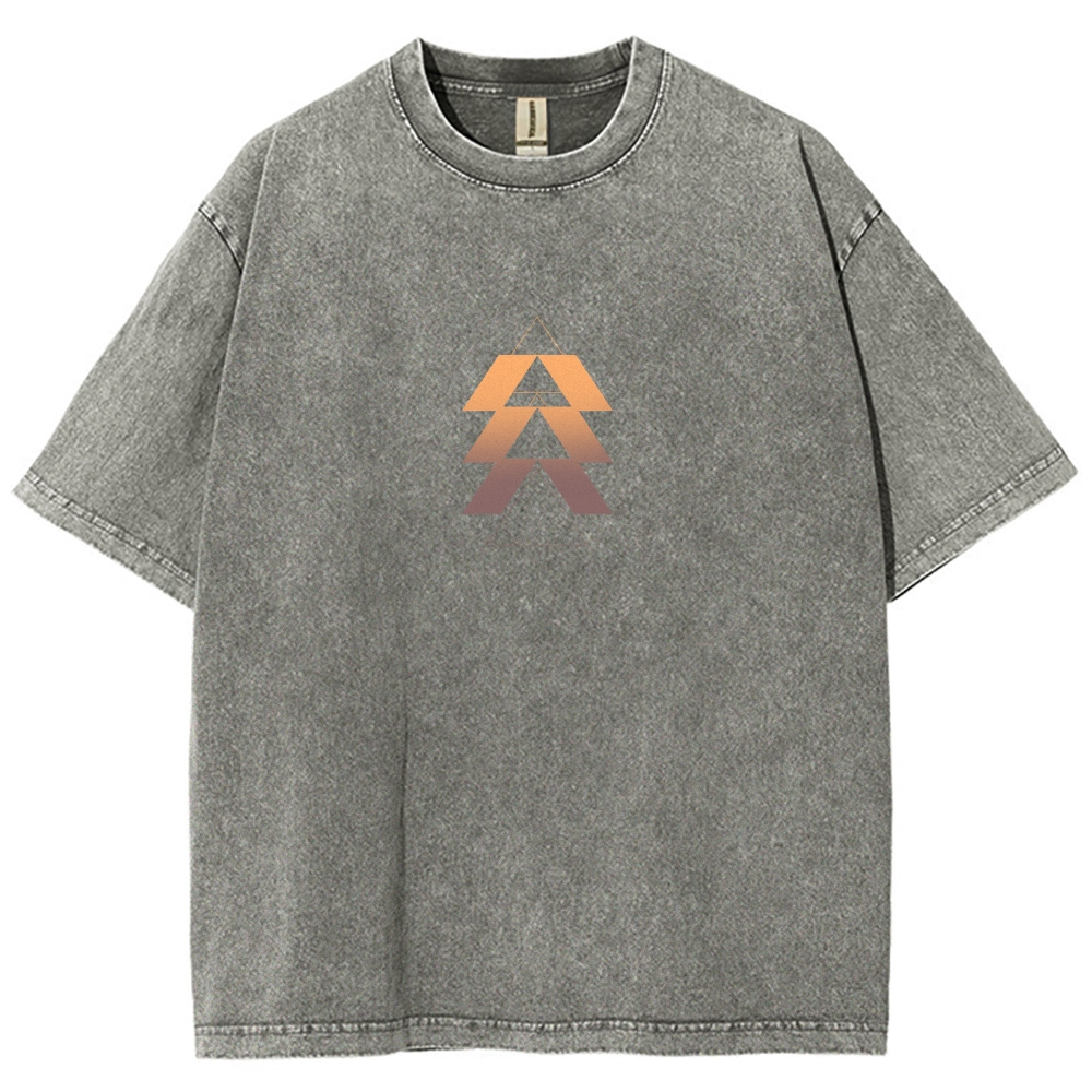 Destiny Washed T-shirt 2606000503