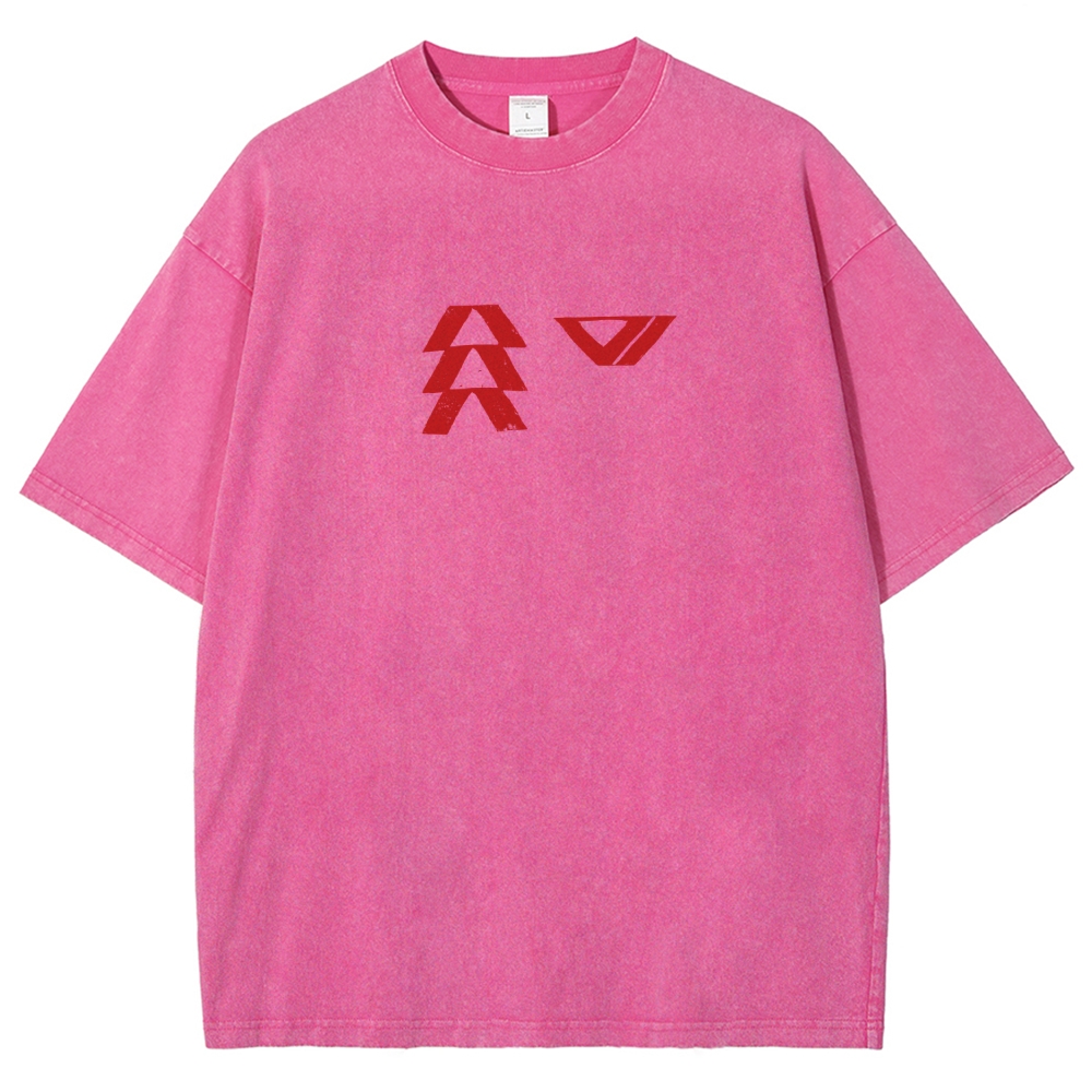 Destiny Washed T-shirt 2606001039