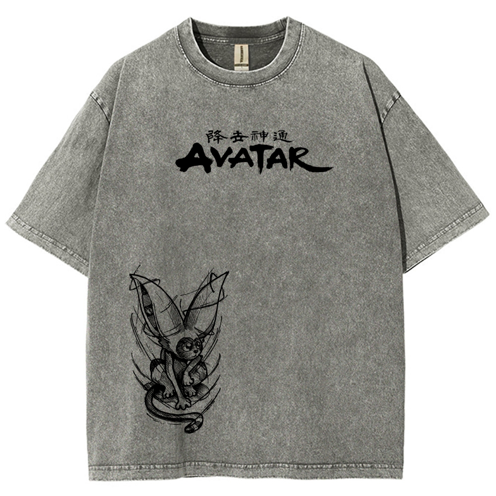 Avatar: The Last Airbender Washed T-shirt 2606002138
