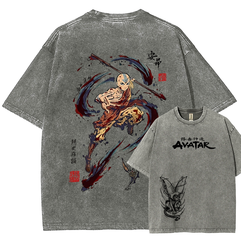 Avatar: The Last Airbender Washed T-shirt 2606002138