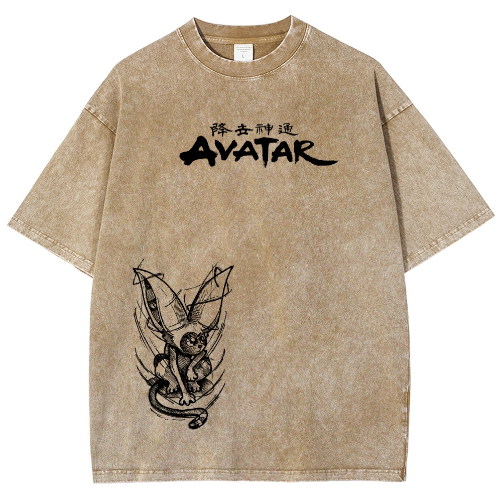 Avatar: The Last Airbender Washed T-shirt 2606002138