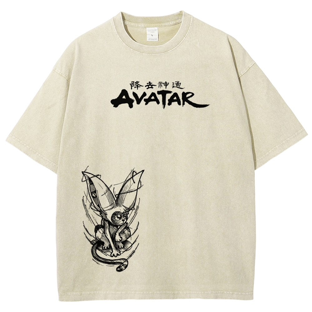 Avatar: The Last Airbender Washed T-shirt 2606002138