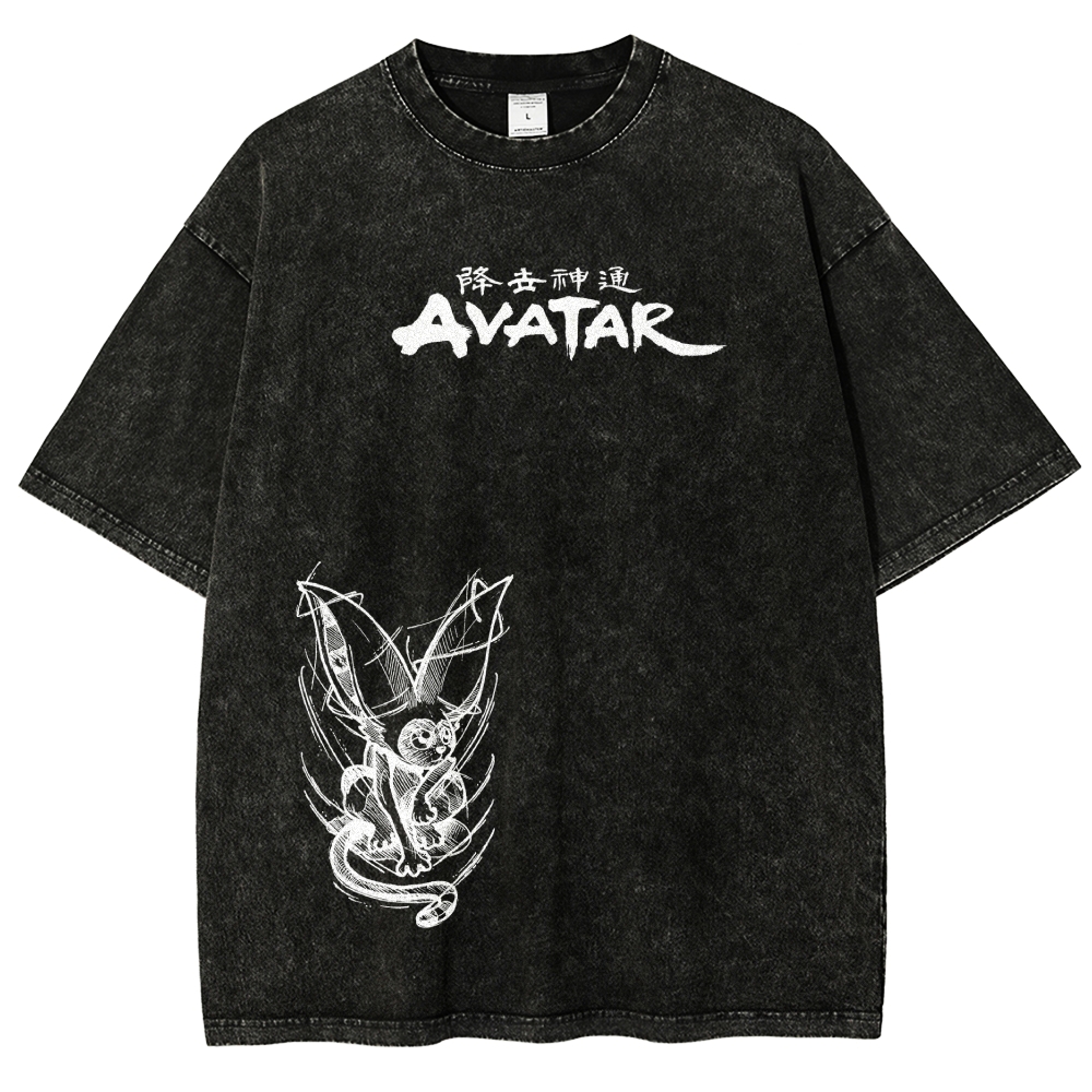 Avatar: The Last Airbender Washed T-shirt 2606002138