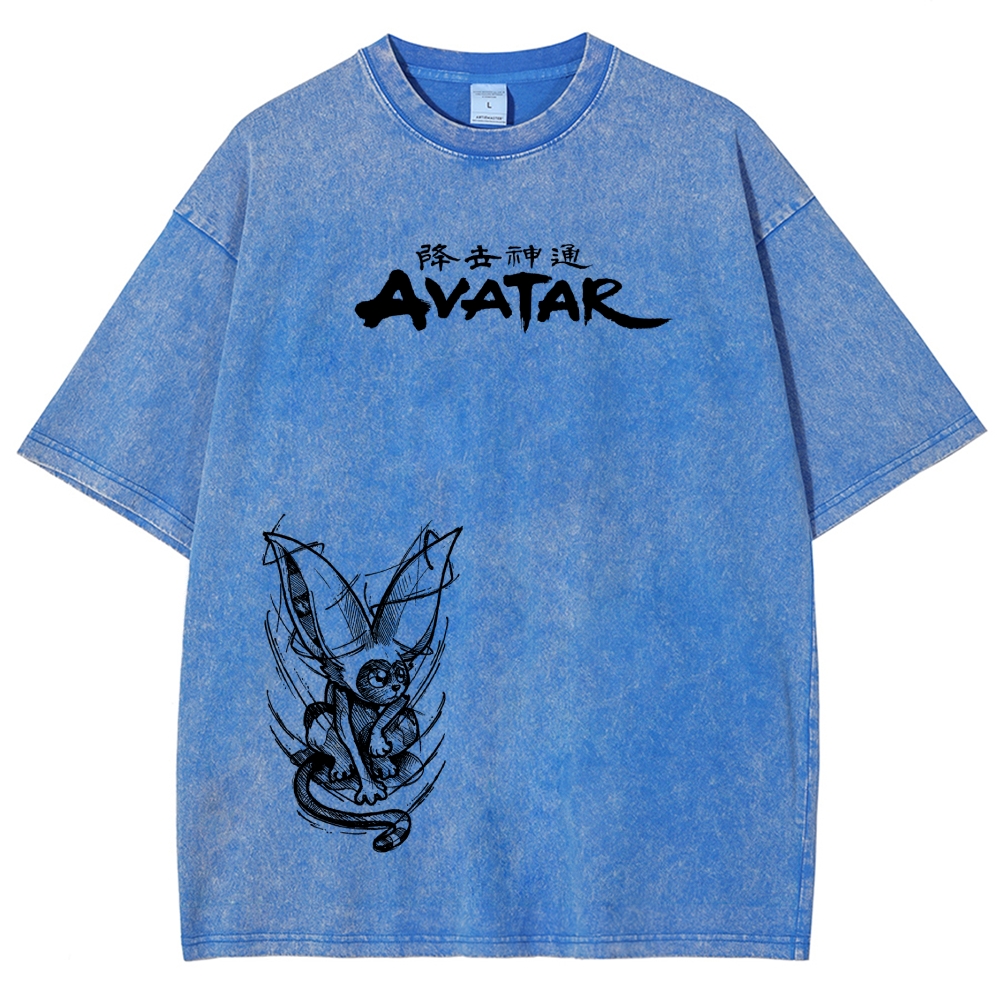 Avatar: The Last Airbender Washed T-shirt 2606002138