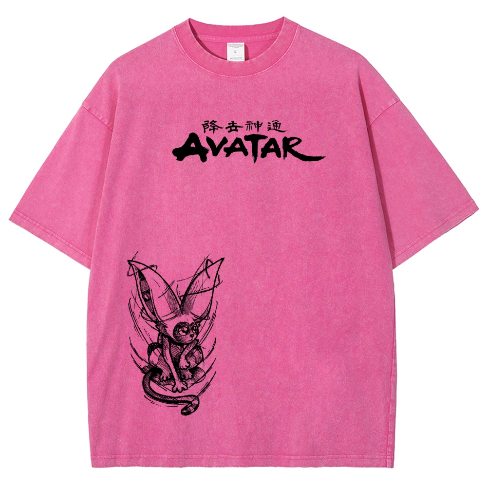 Avatar: The Last Airbender Washed T-shirt 2606002138