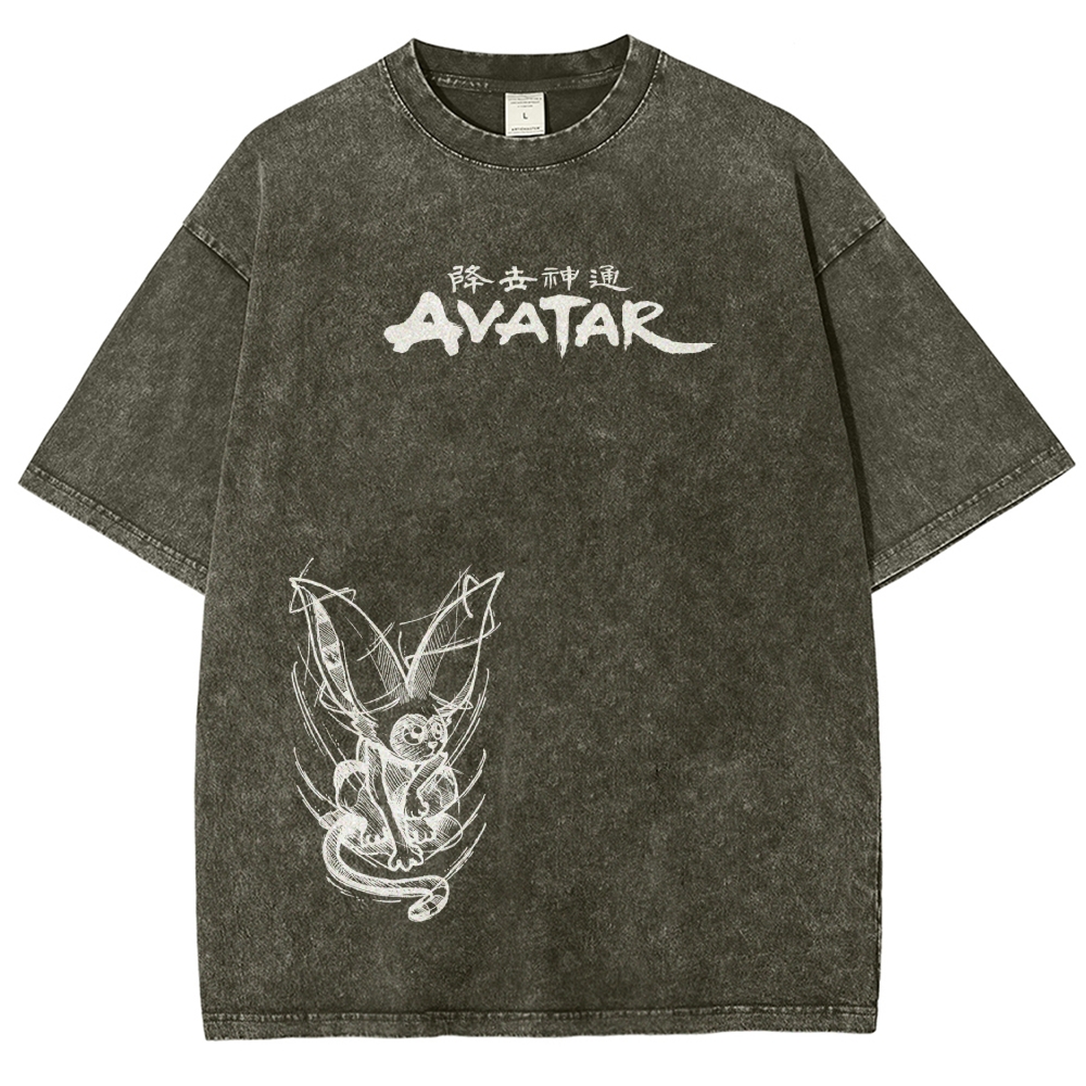 Avatar: The Last Airbender Washed T-shirt 2606002138