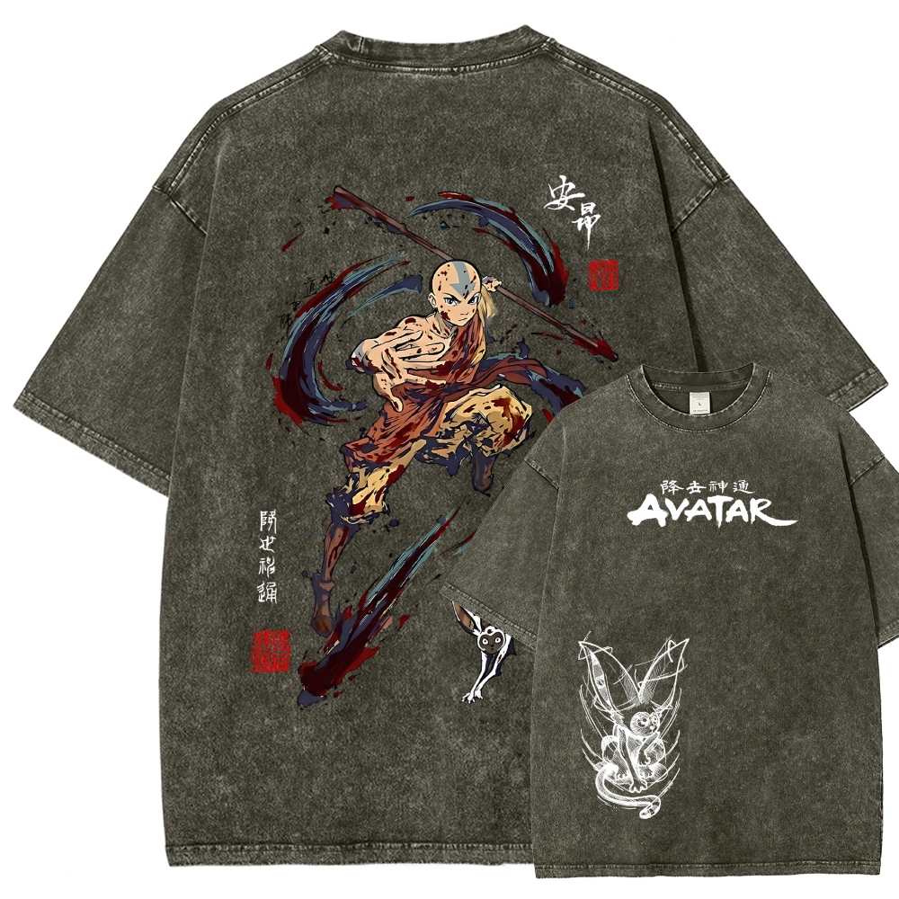 Avatar: The Last Airbender Washed T-shirt 2606002138
