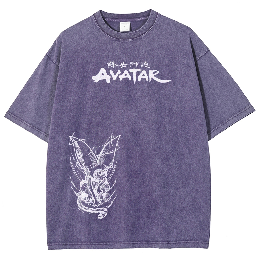 Avatar: The Last Airbender Washed T-shirt 2606002138