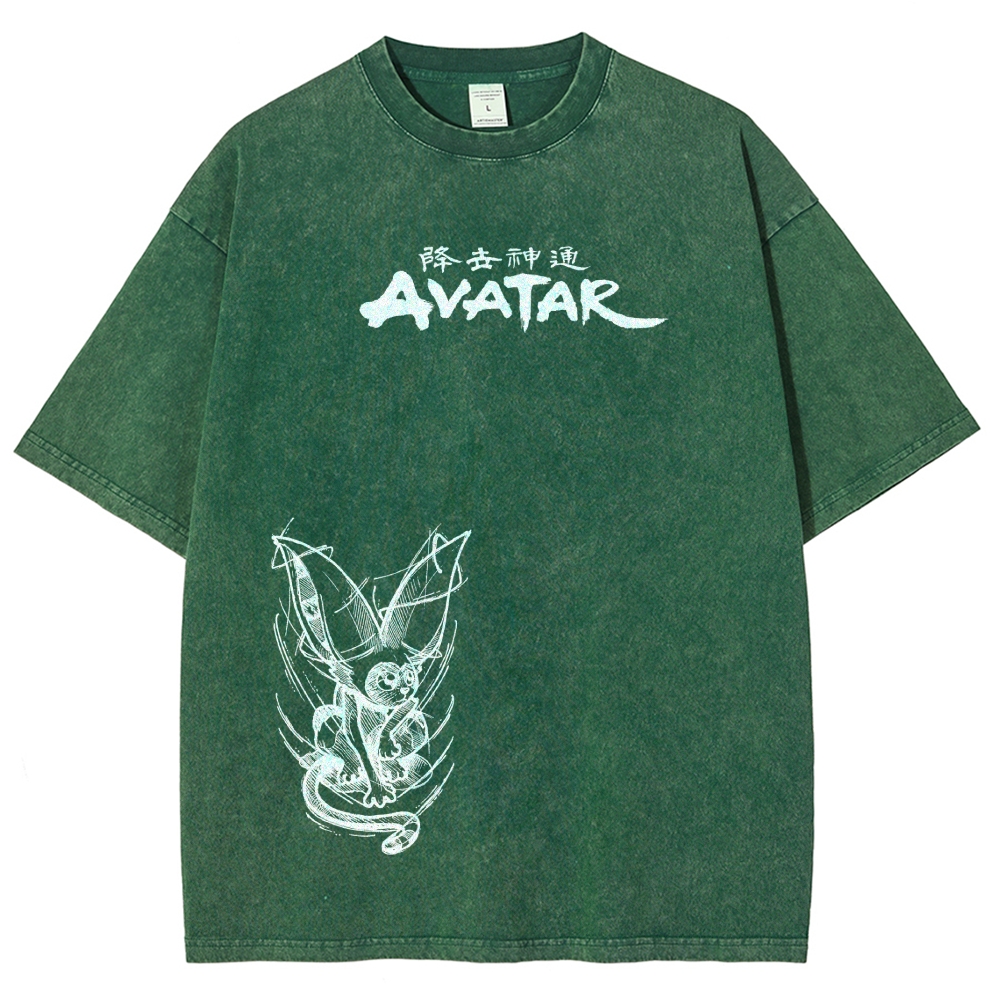 Avatar: The Last Airbender Washed T-shirt 2606002138