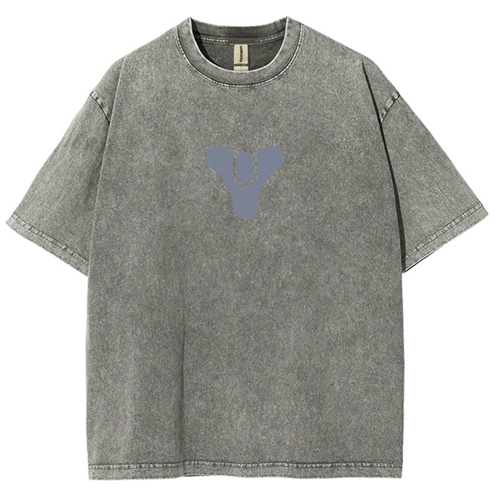 Destiny Washed T-shirt 2606003758