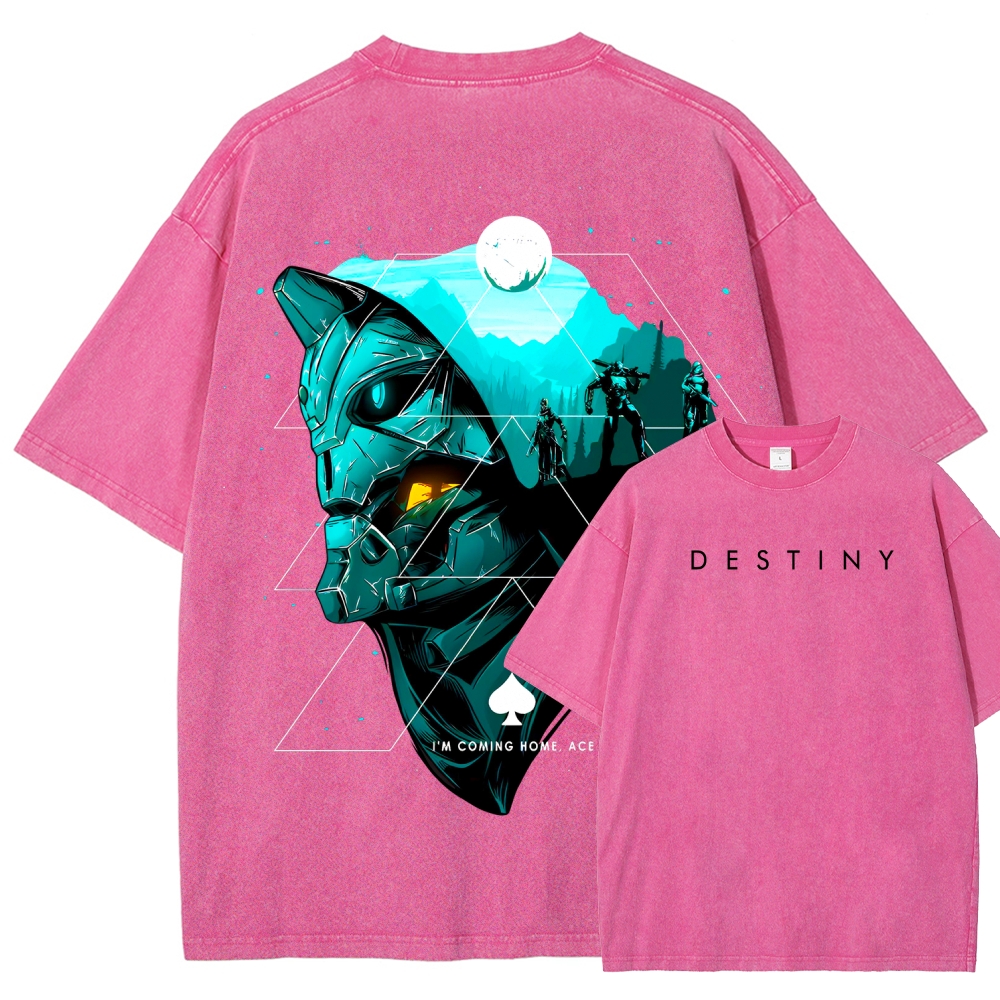 Destiny Unisex Fit Washed T-Shirt 2606006936