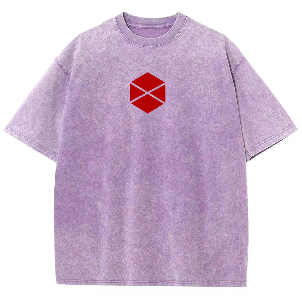Destiny Unisex Fit Washed T-Shirt 2606007734
