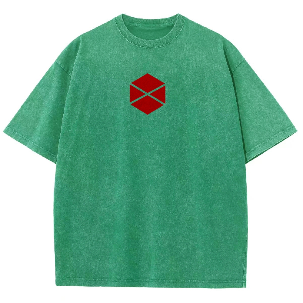 Destiny Unisex Fit Washed T-Shirt 2606007734