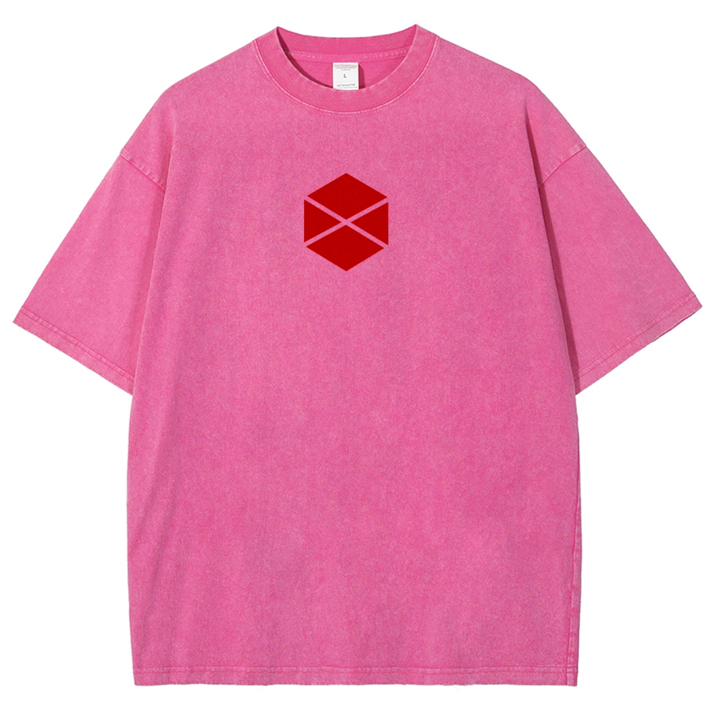 Destiny Unisex Fit Washed T-Shirt 2606007734
