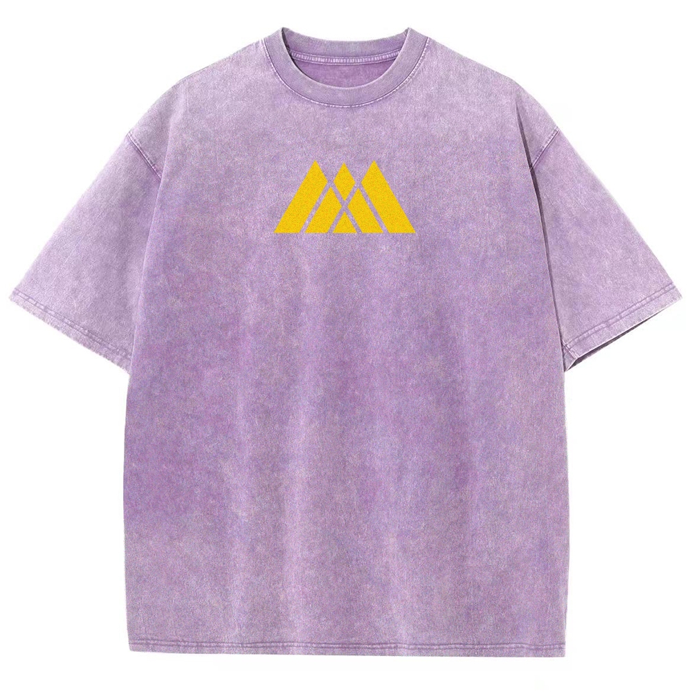 Destiny Unisex Fit Washed T-Shirt 2606007747