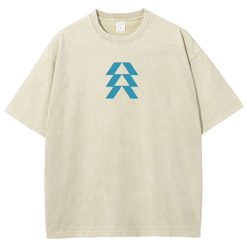 Destiny Unisex Fit Washed T-Shirt 2606007749