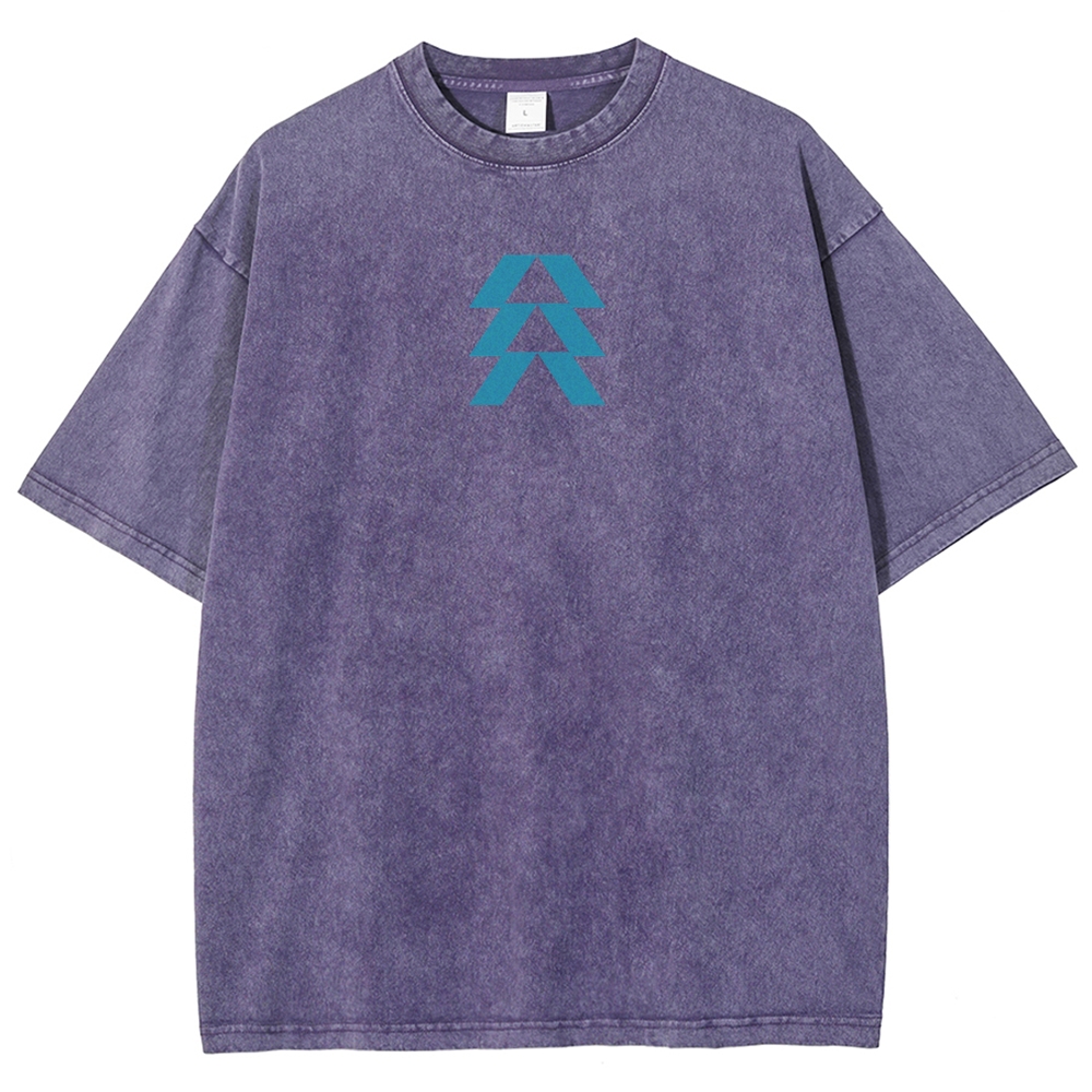 Destiny Unisex Fit Washed T-Shirt 2606007749
