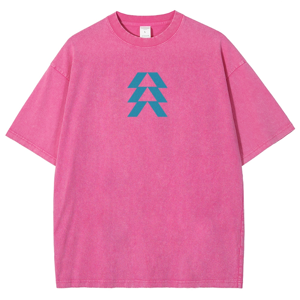 Destiny Unisex Fit Washed T-Shirt 2606007749