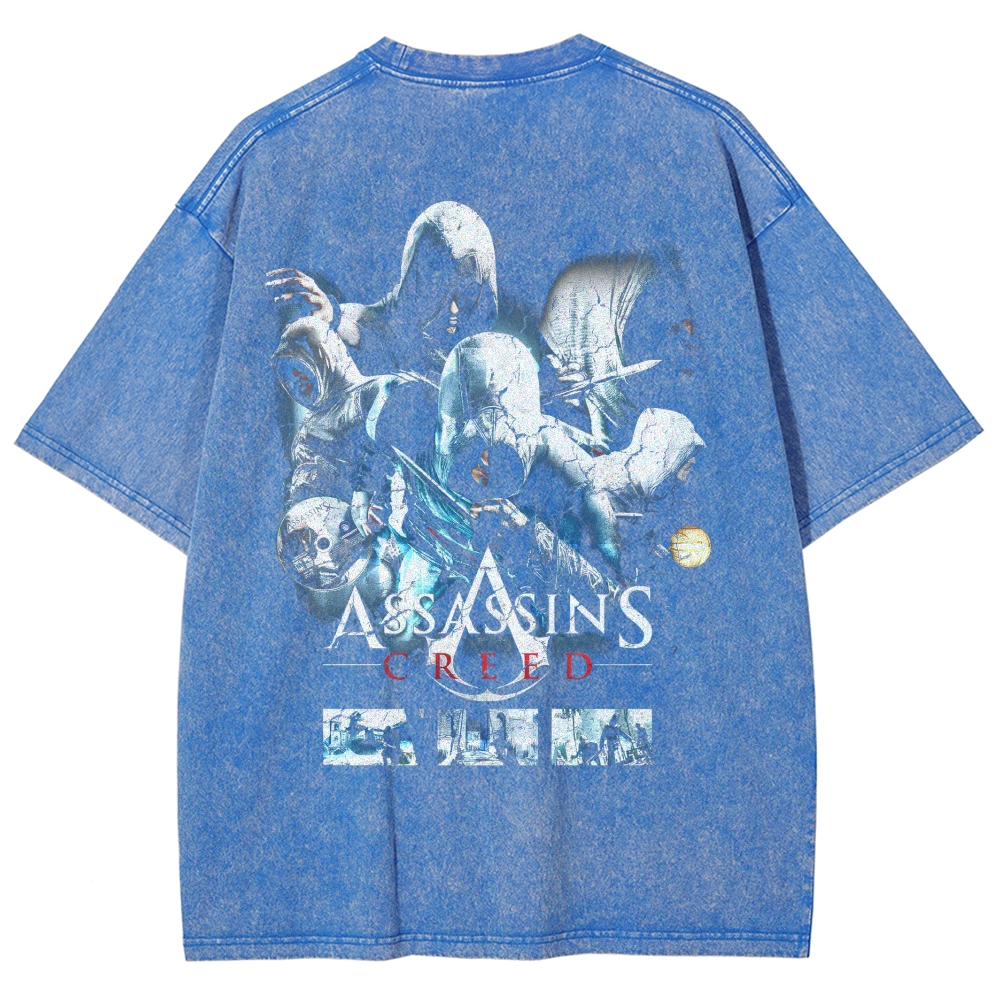 Assassin’s Creed Washed T-shirt 2606016139