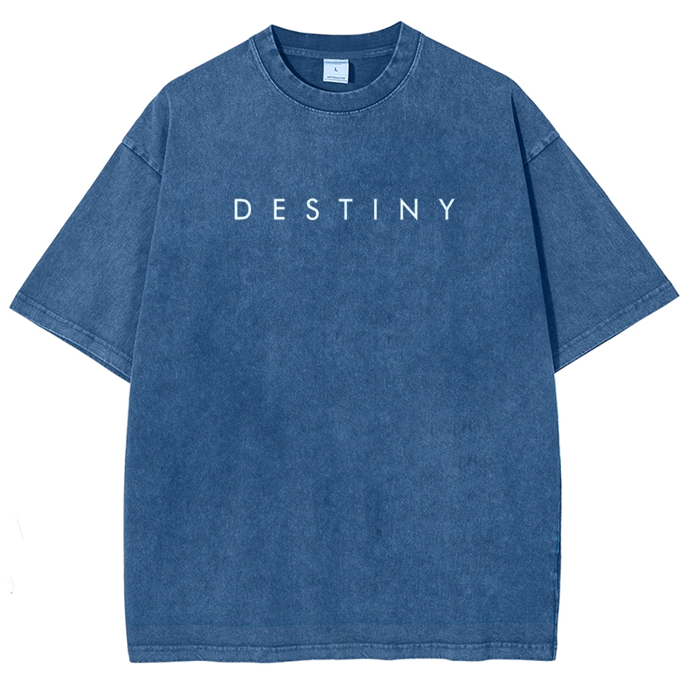 Destiny Washed T-shirt 2607001738
