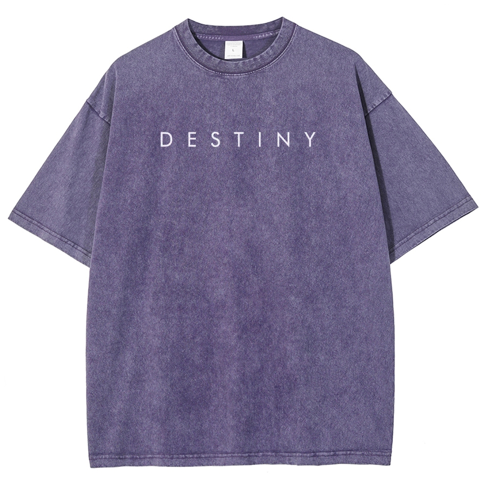 Destiny Washed T-shirt 2607001738