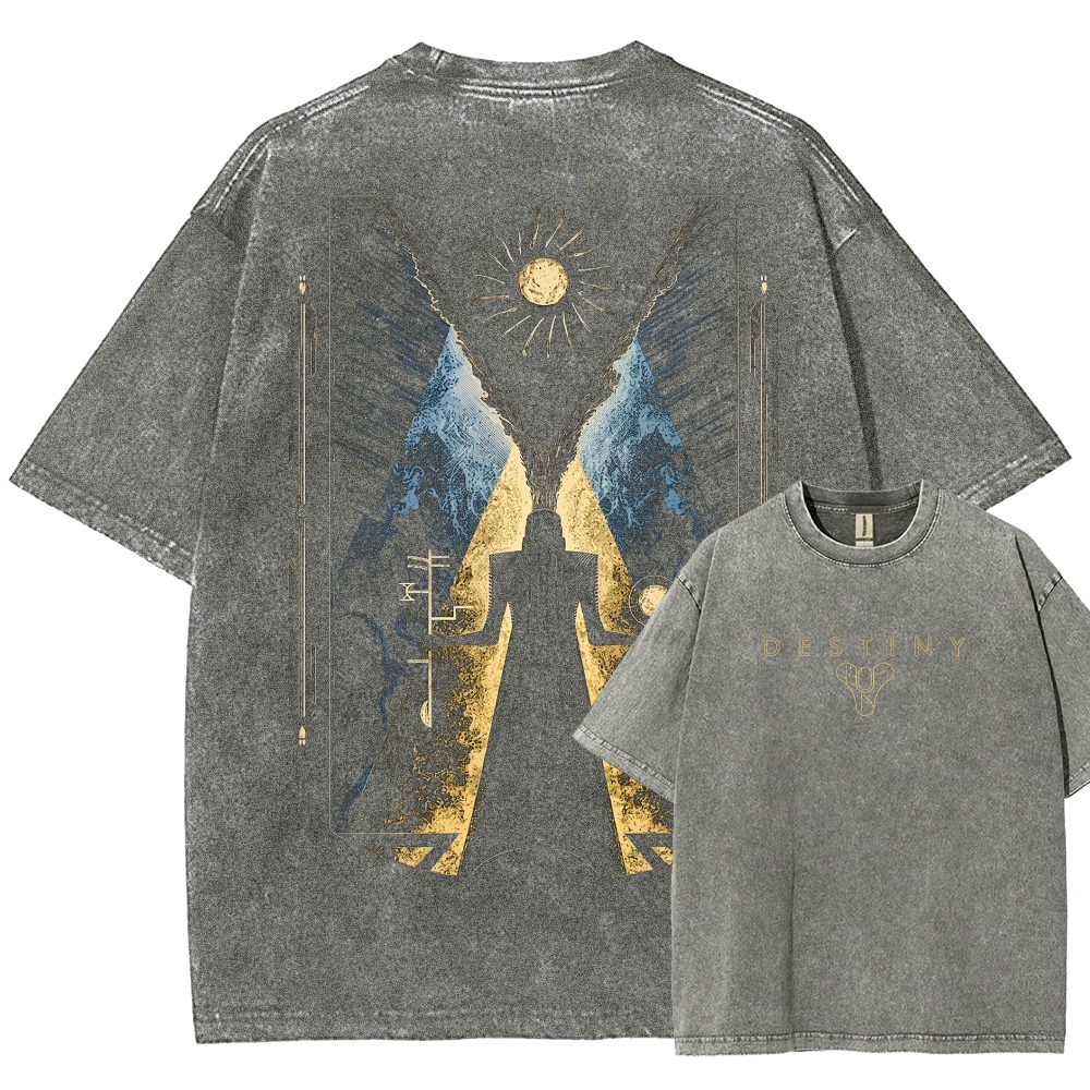 DestinyWashed T-shirt 2607012766