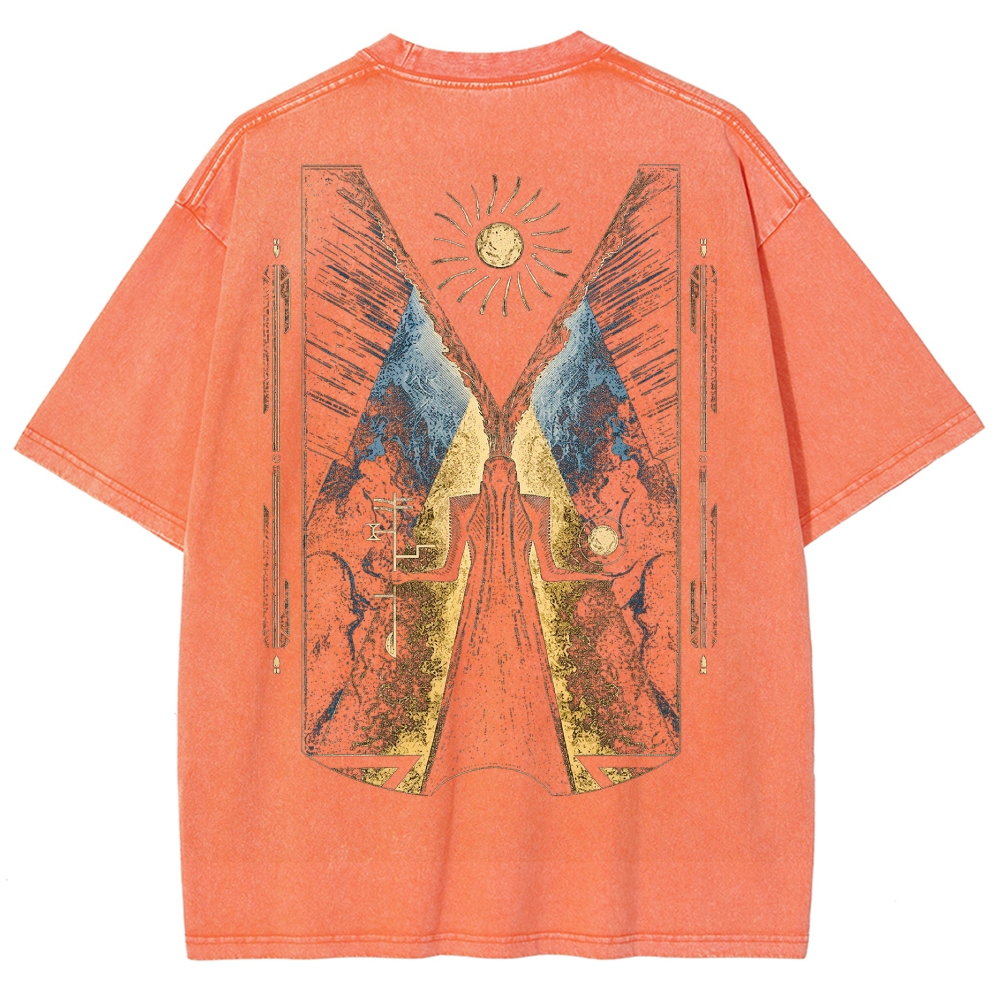 DestinyWashed T-shirt 2607012766
