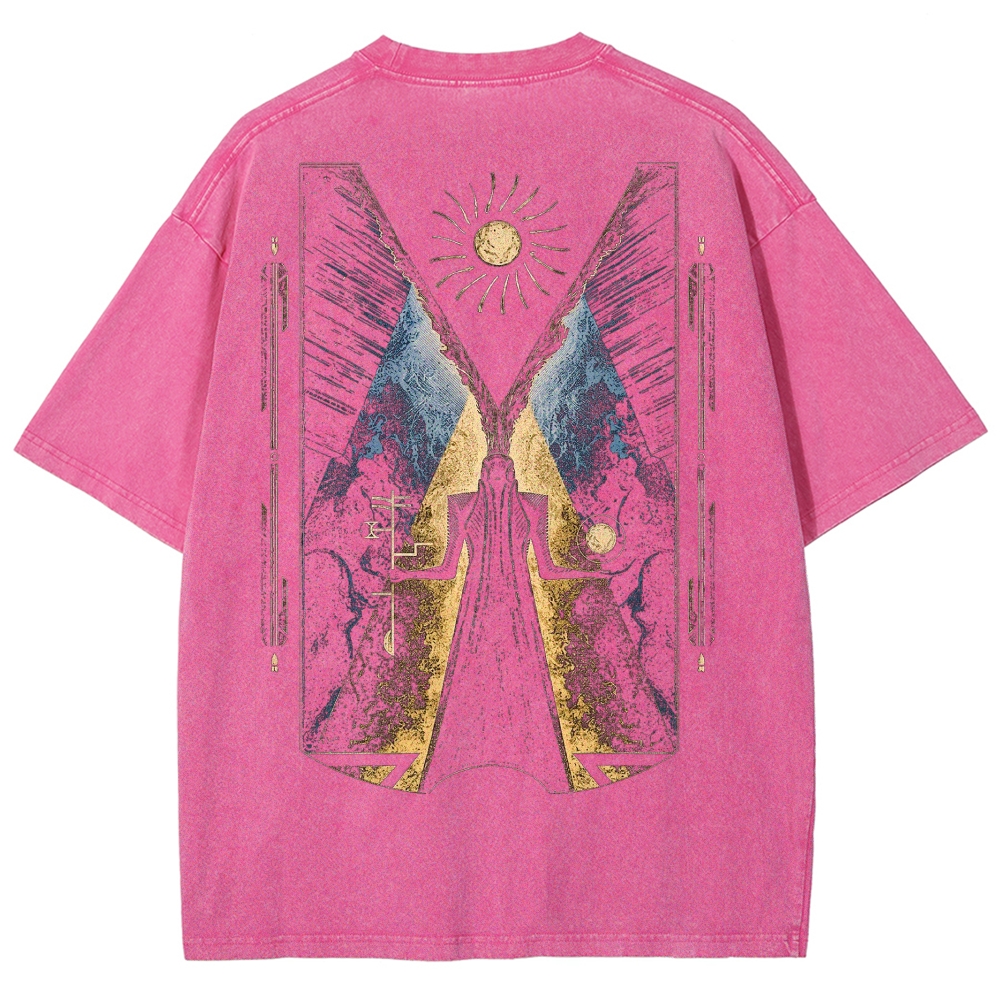 DestinyWashed T-shirt 2607012766