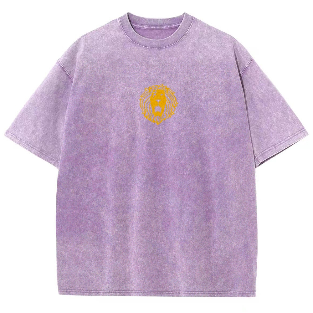 Seven Deadly Sins  Washed T-shirt 2608004883