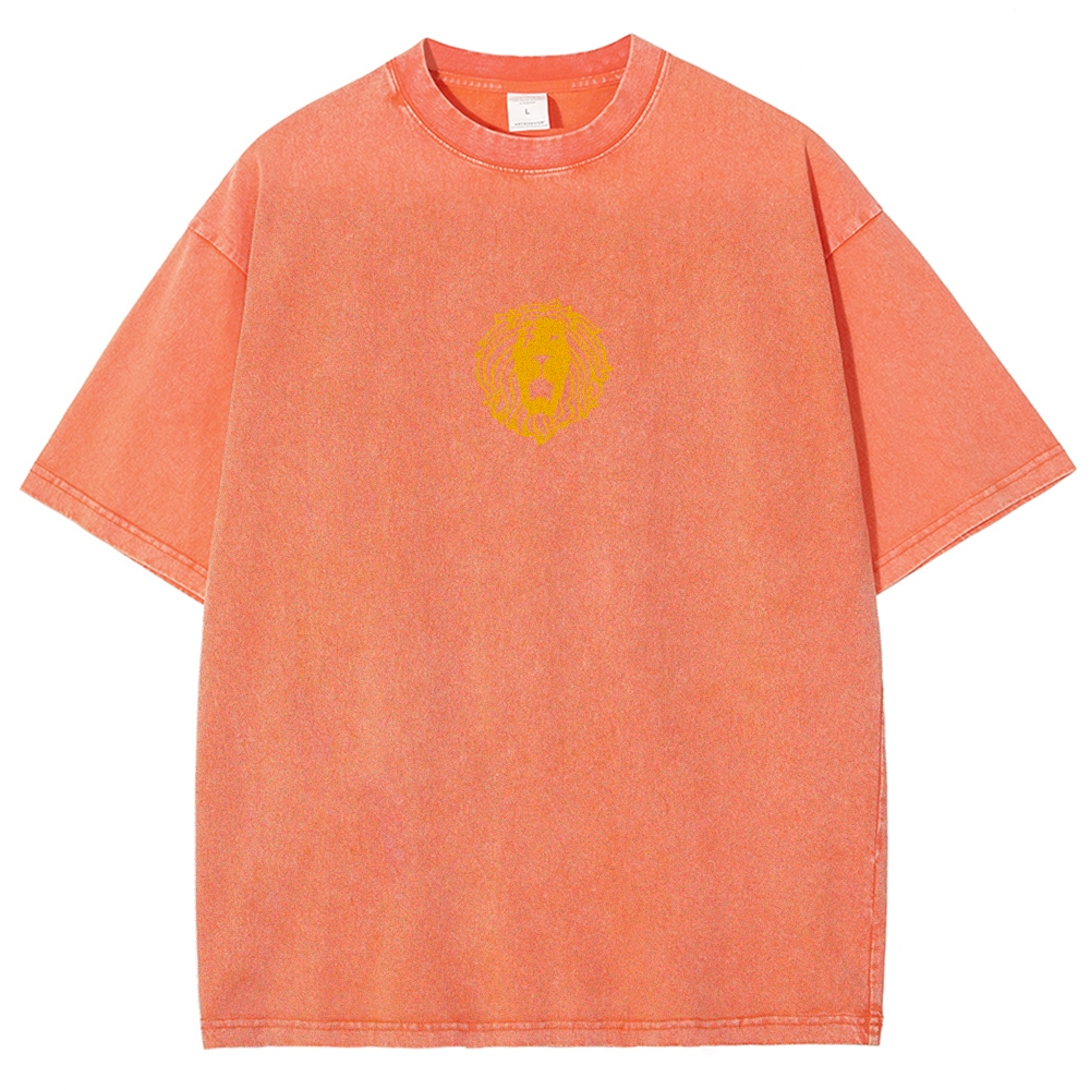 Seven Deadly Sins  Washed T-shirt 2608004883