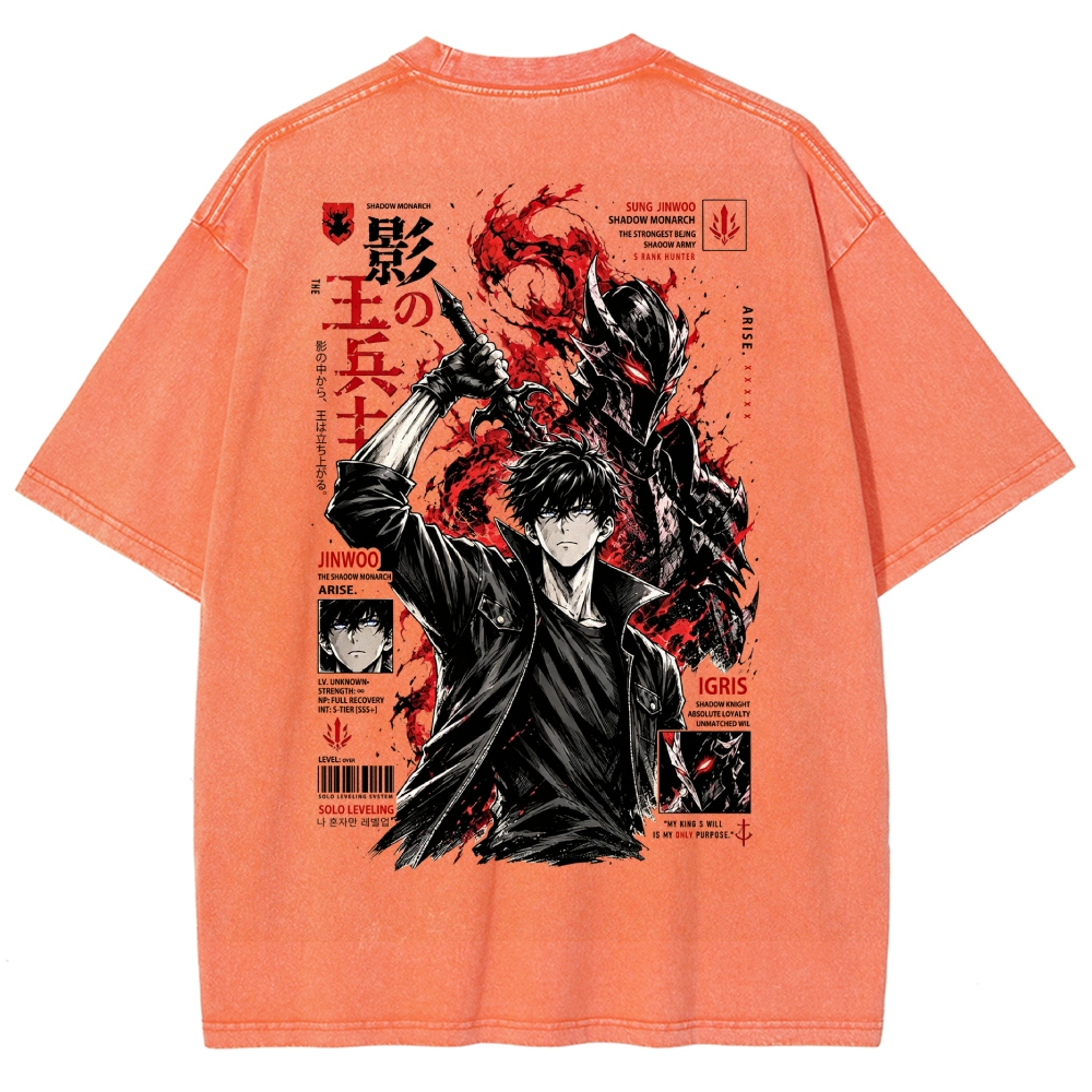 Solo-Leveling Washed T-shirt 2608007380