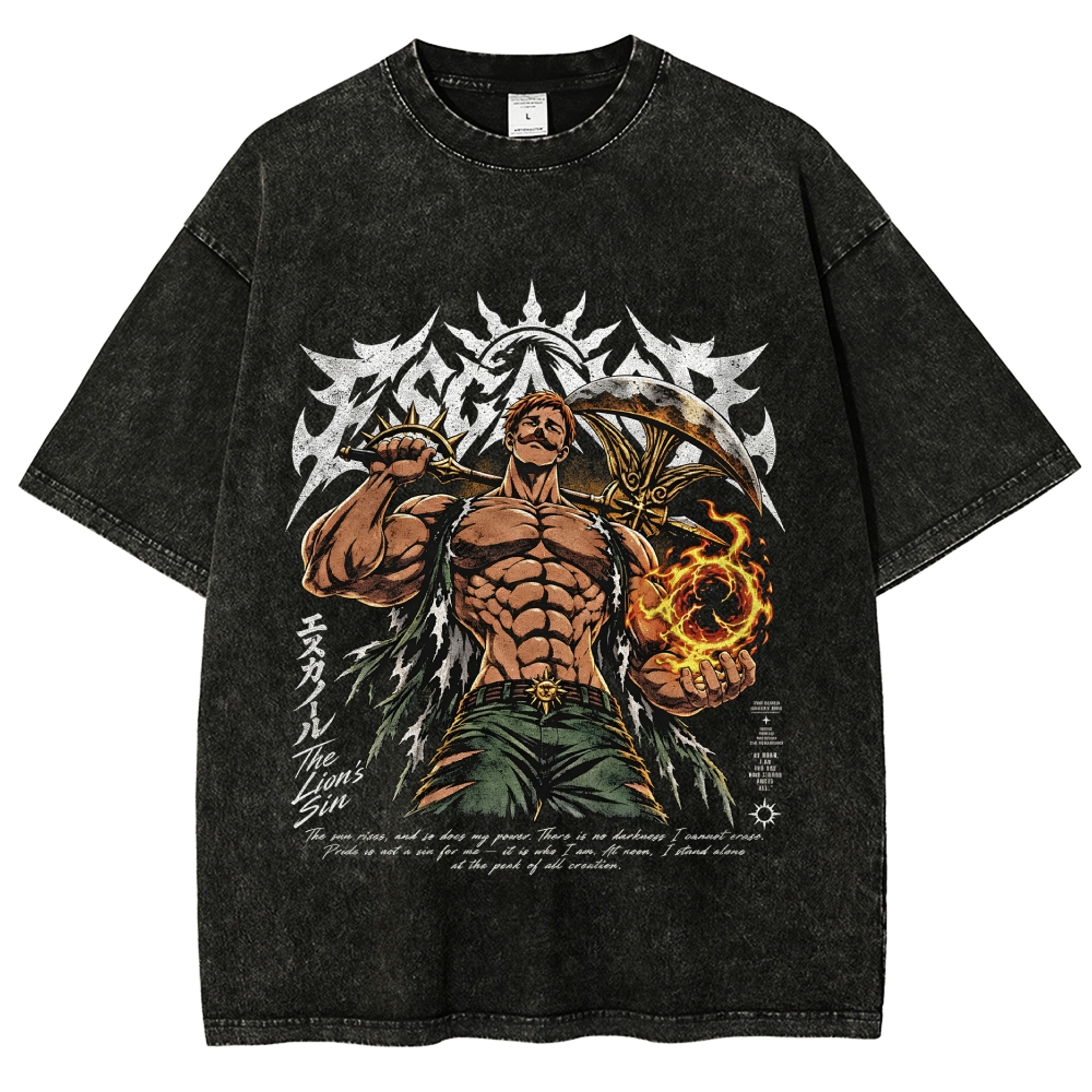 Seven Deadly Sins Washed T-shirt 2609008569