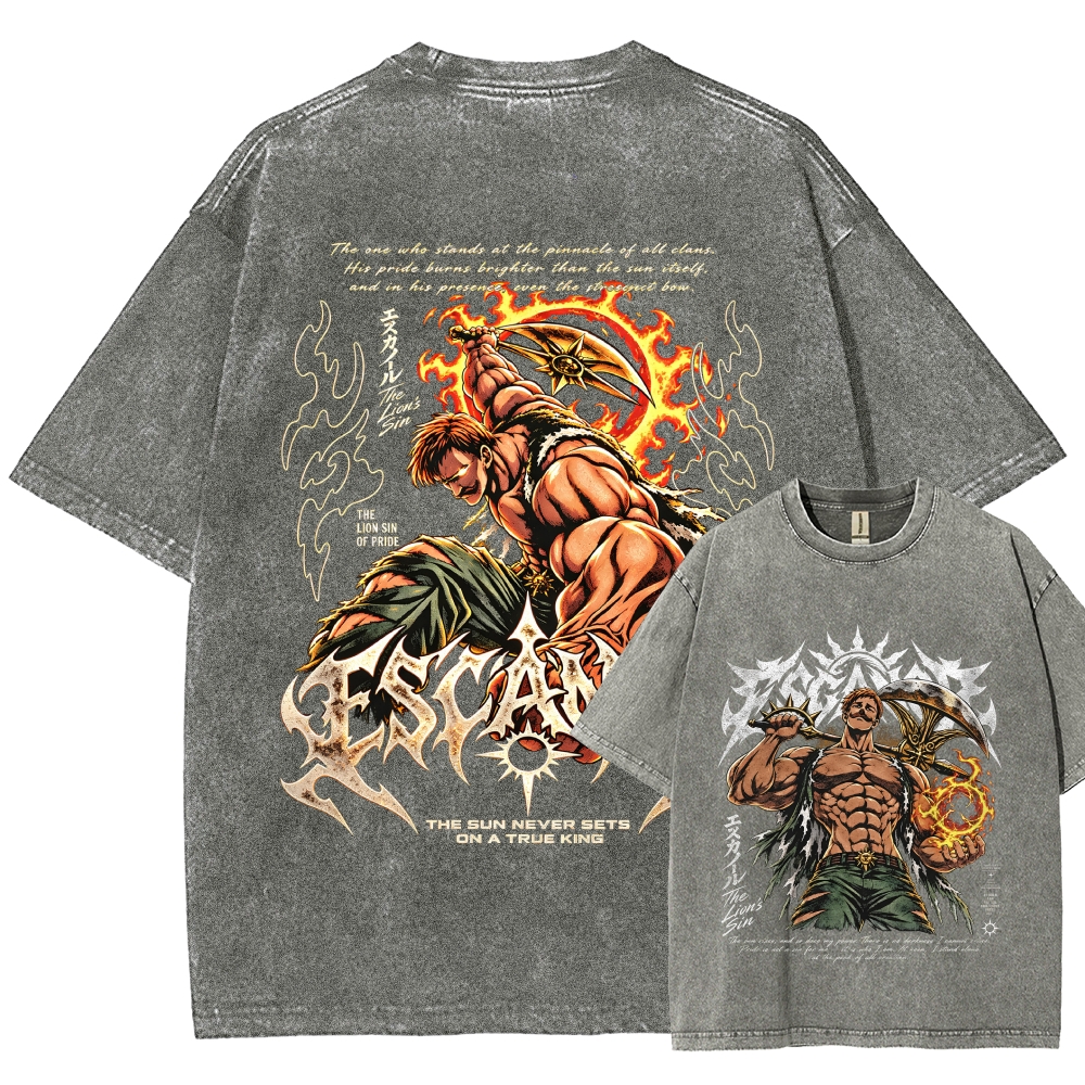 Seven Deadly Sins Washed T-shirt 2609008569