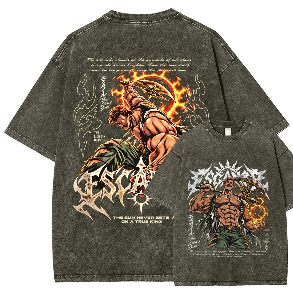 Seven Deadly Sins Washed T-shirt 2609008569