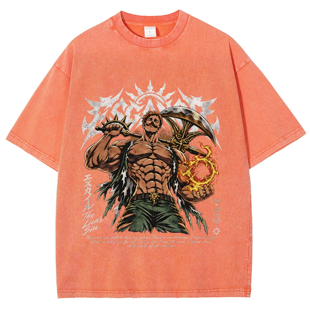 Seven Deadly Sins Washed T-shirt 2609008569