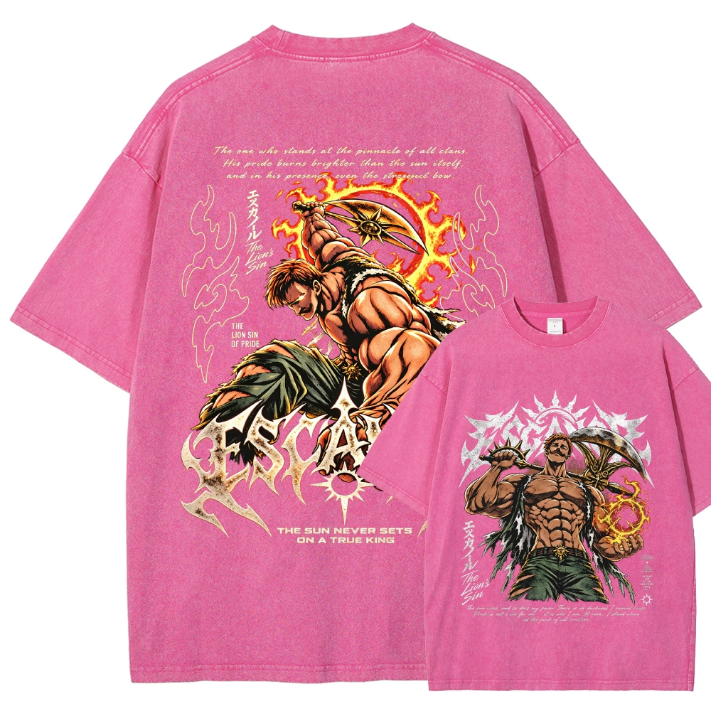 Seven Deadly Sins Washed T-shirt 2609008569