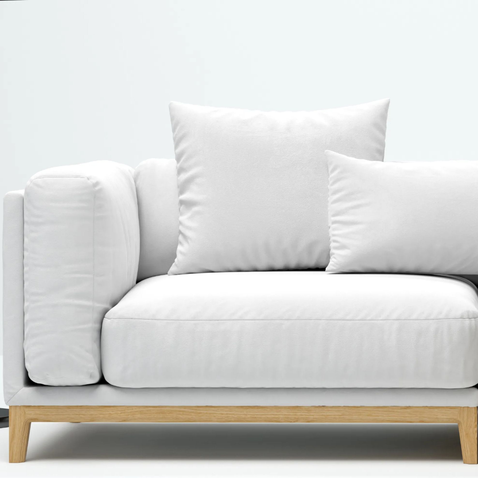 Boutique Living Room Sofa