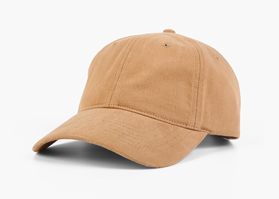 organic cotton dad hat
