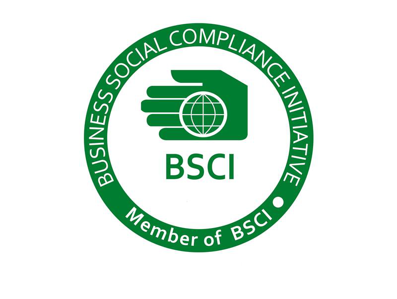 {"default":"BSCI"}
