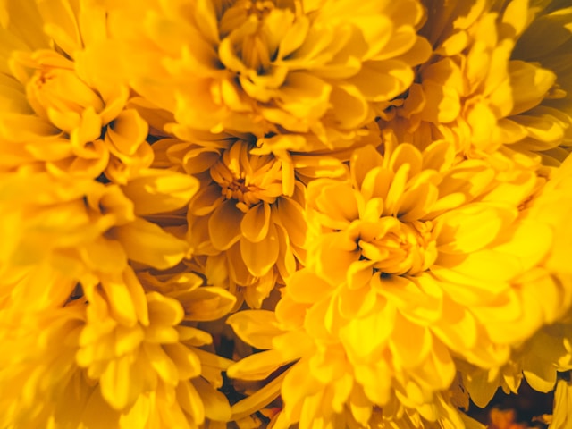 Cheerful & Optimistic Yellows