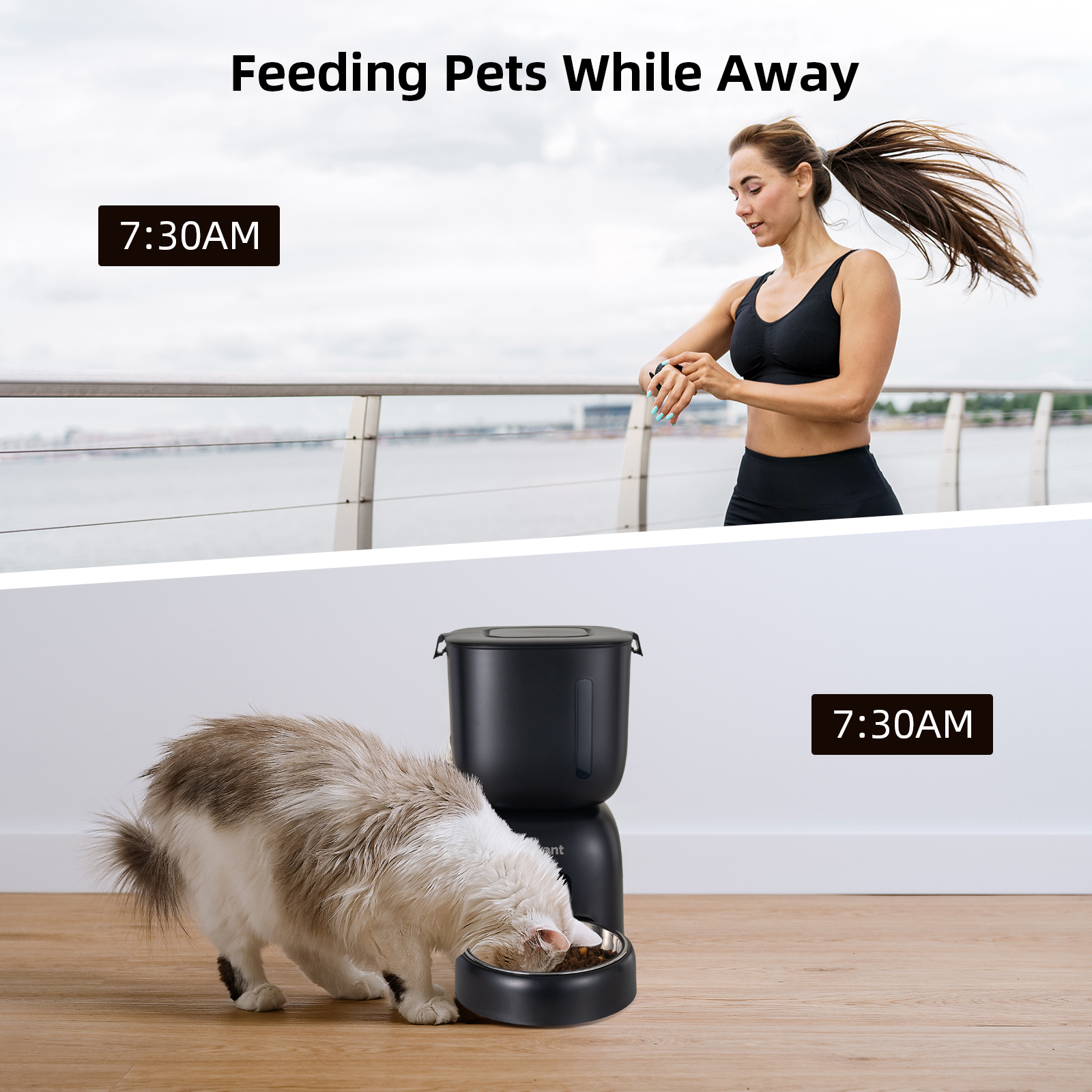 Petwant Automatic Pet Feeder 1-4 Meals Timed Precise Food Portion Control Customized 10s Voice Record Smart Cat Food Dispenser