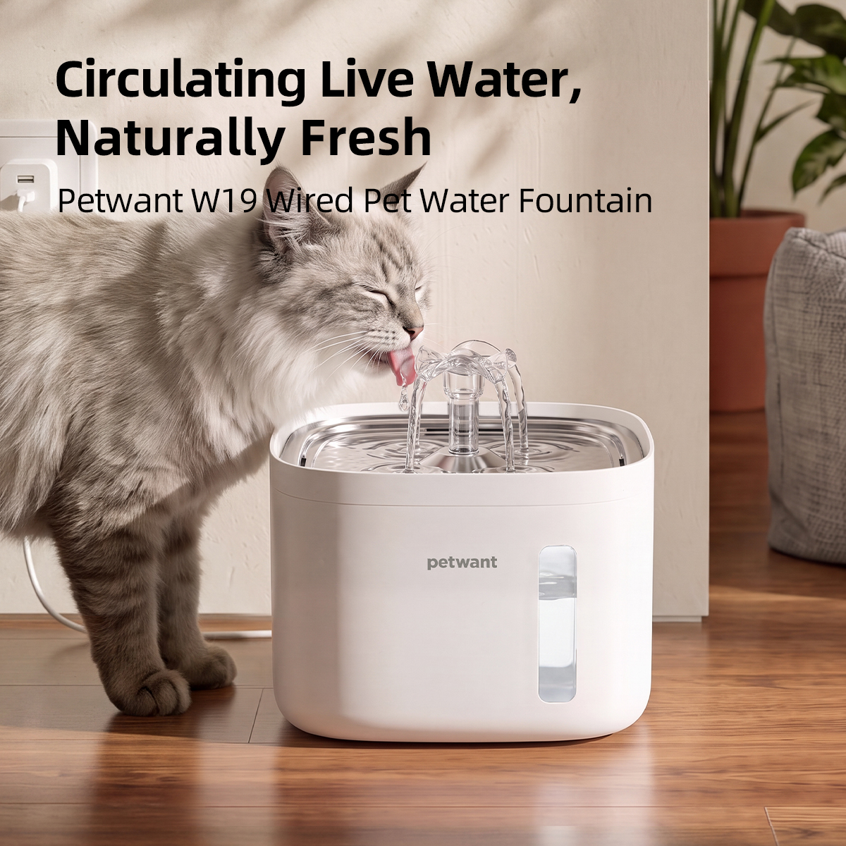 Petwant 2L Pet Water Fountain Automatic Cat Water Dispenser Circulating 4-Layer Filtration Food Grade PP for Cats Small Dogs