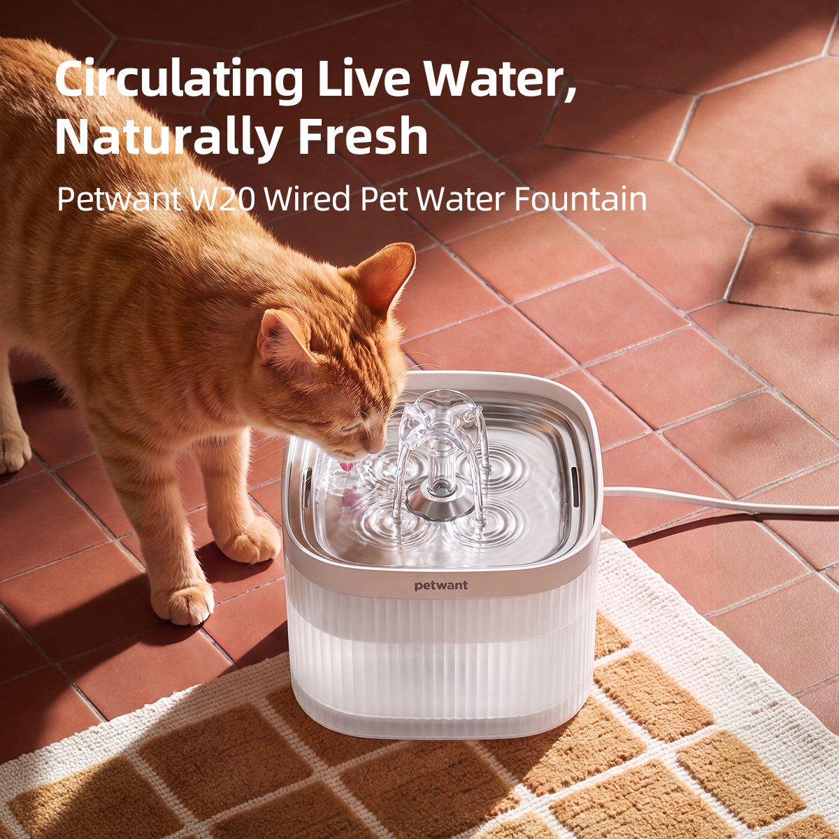 Petwant 2L Pet Water Fountain Automatic Cat Water Dispenser 304 Stainless Steel Circulating 4-Layer Filter Cats Small Dogs