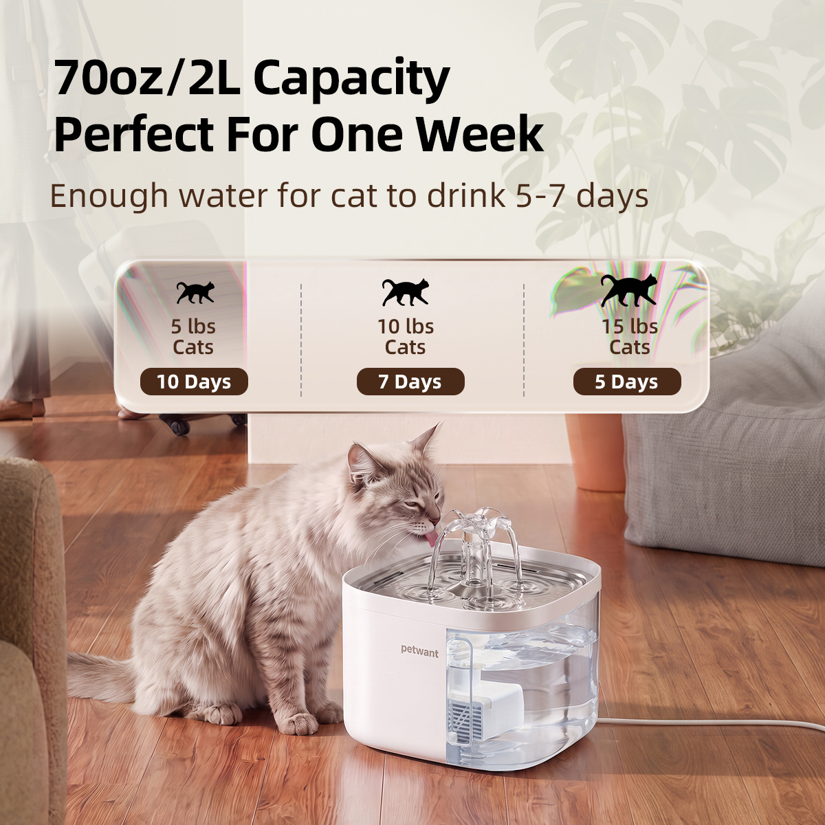 Petwant 2L Pet Water Fountain Automatic Cat Water Dispenser Circulating 4-Layer Filtration Food Grade PP for Cats Small Dogs