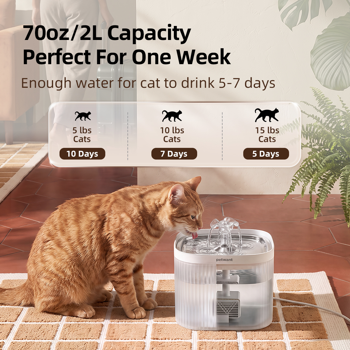 Petwant 2L Pet Water Fountain Automatic Cat Water Dispenser 304 Stainless Steel Circulating 4-Layer Filter Cats Small Dogs