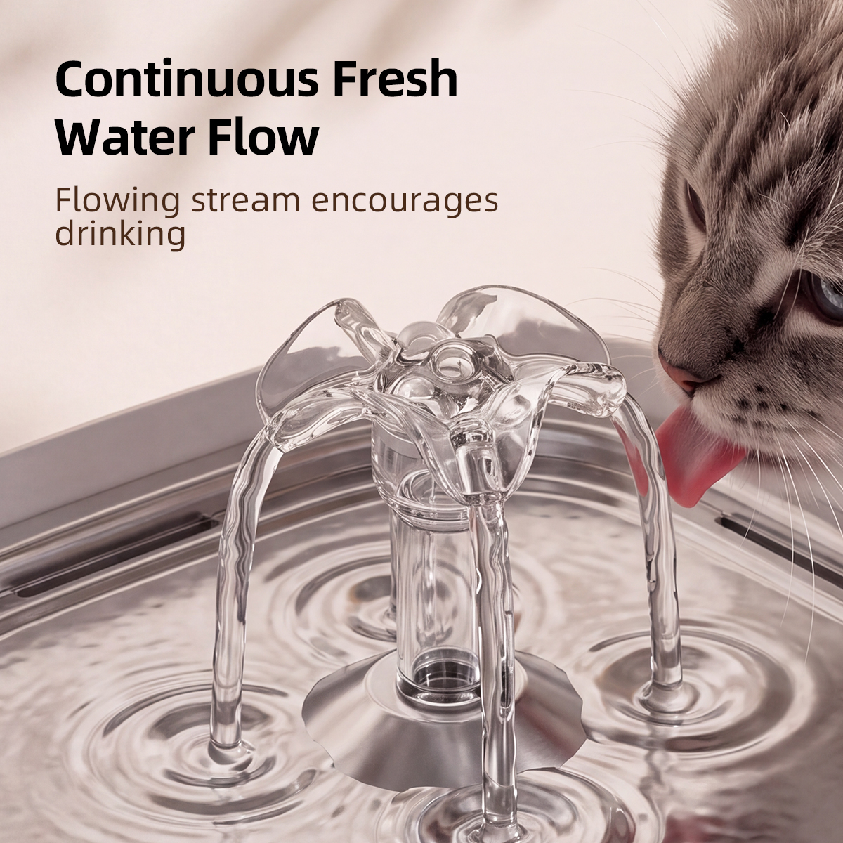 Petwant 2L Pet Water Fountain Automatic Cat Water Dispenser Circulating 4-Layer Filtration Food Grade PP for Cats Small Dogs