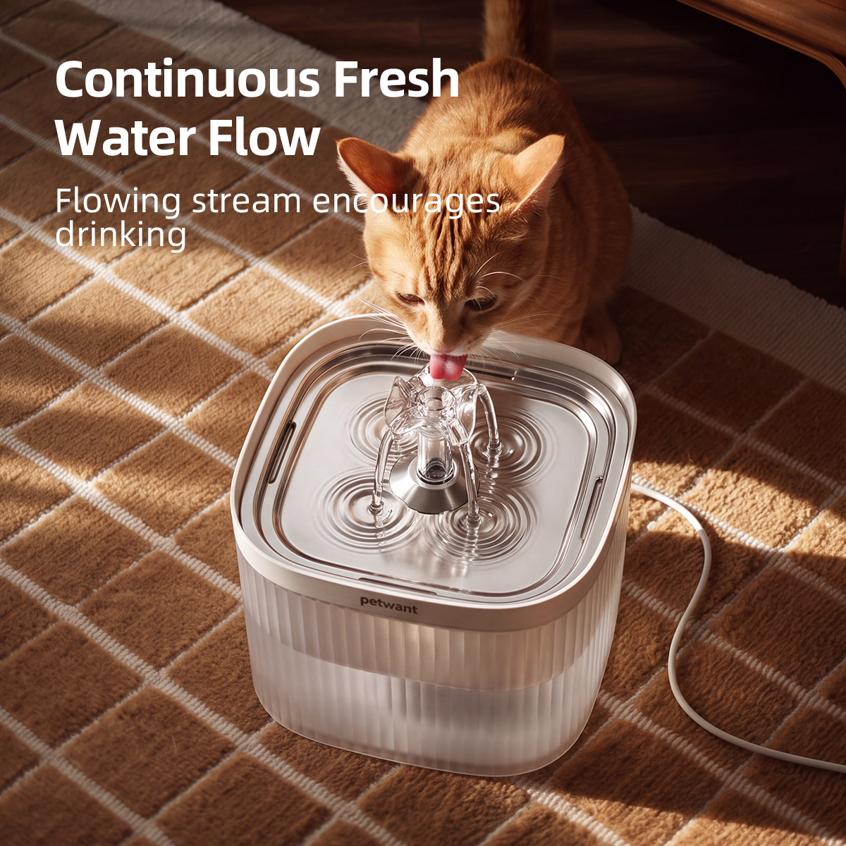 Petwant 2L Pet Water Fountain Automatic Cat Water Dispenser 304 Stainless Steel Circulating 4-Layer Filter Cats Small Dogs