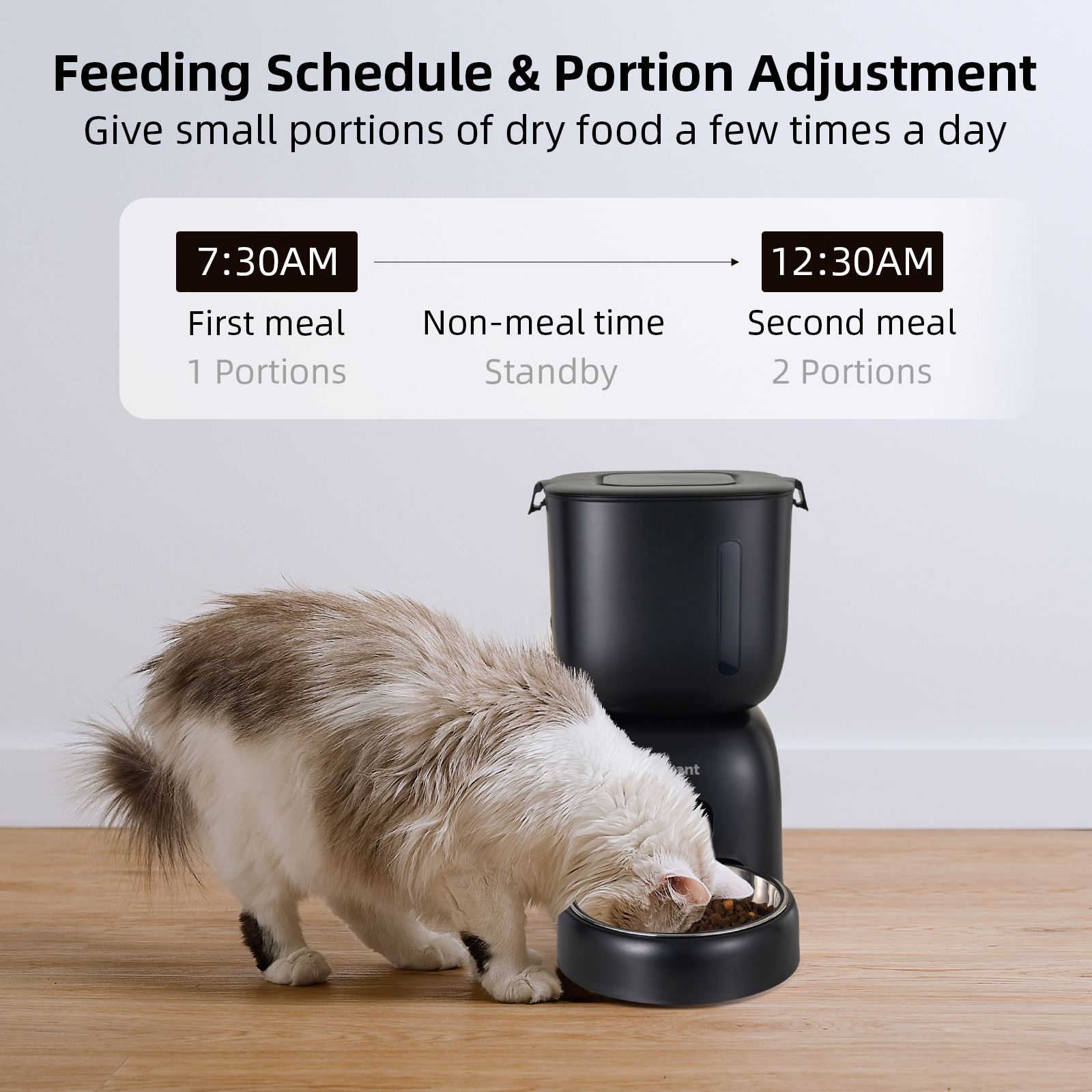 Petwant Automatic Pet Feeder 1-4 Meals Timed Precise Food Portion Control Customized 10s Voice Record Smart Cat Food Dispenser