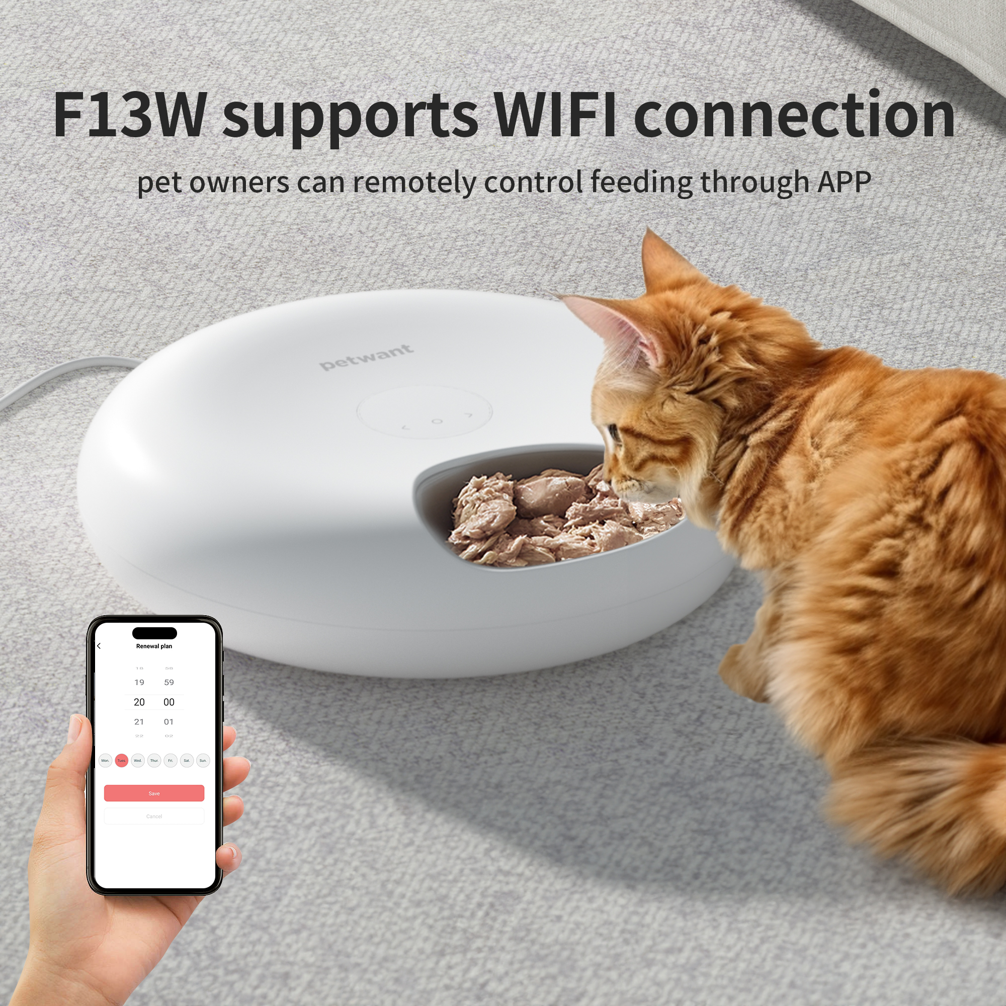 Smart Pet Feeder 6 Meals WIFI