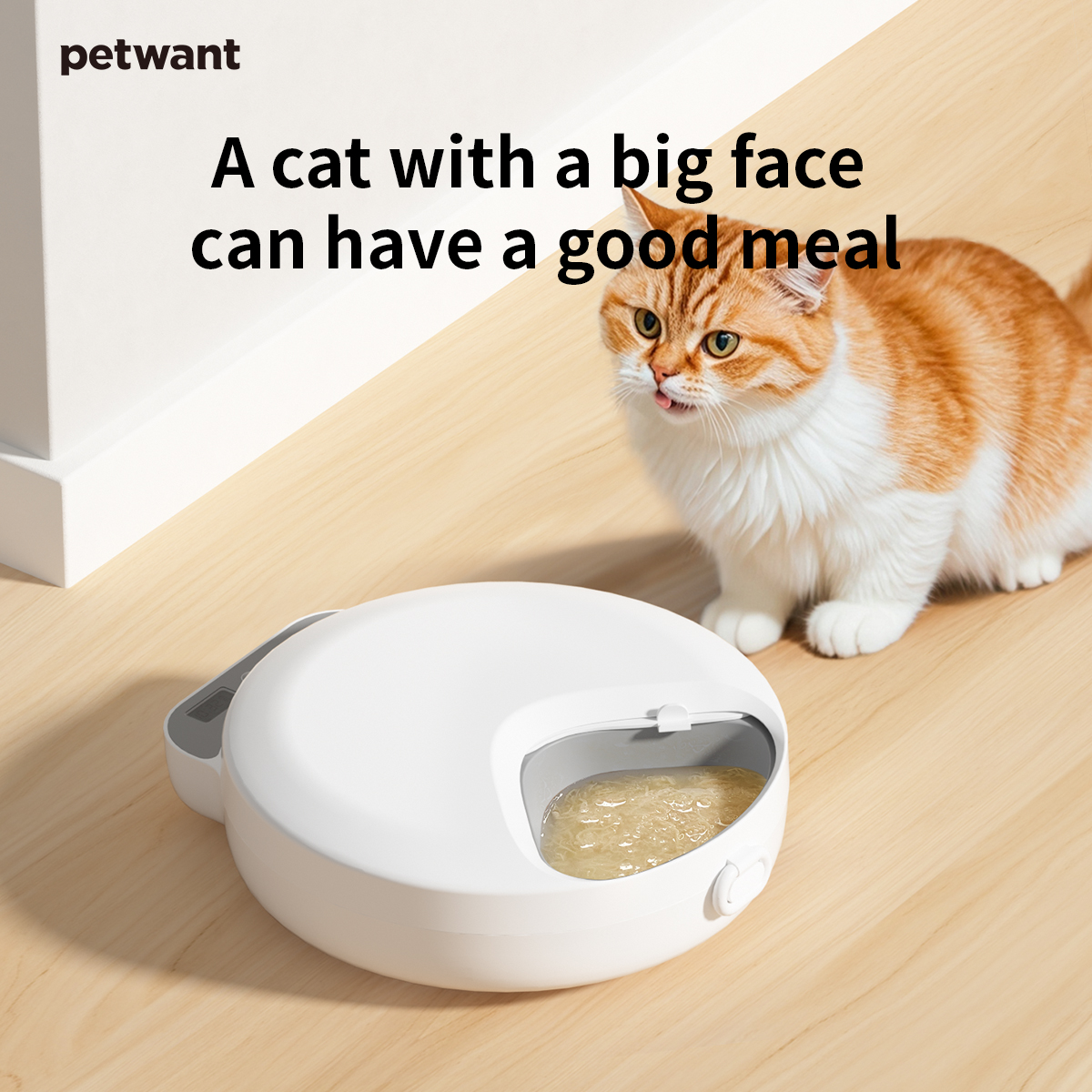 Petwant New Series Automatic Pet Cat Bowls Feeders 4 Meals Cordless Auto Small Animal Food Dispenser with Two Ice Packs